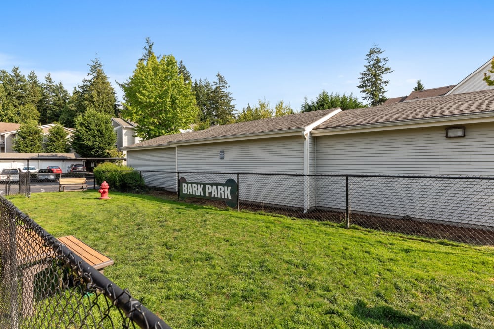 Have fun with your furry friend in the dog park at Wildreed Apartments in Everett, Washington