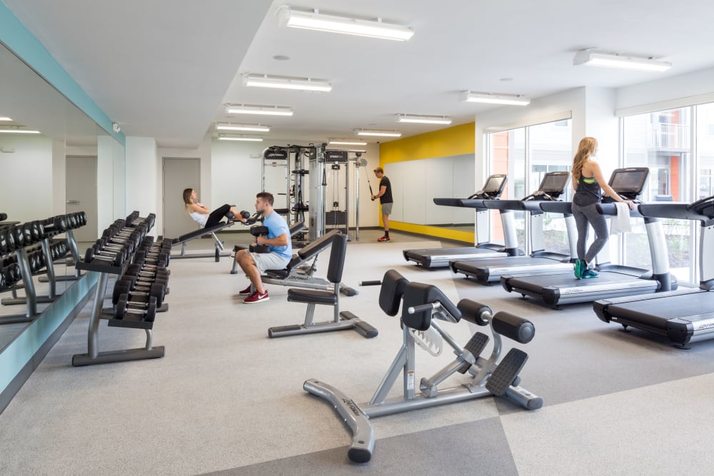 Fitness center at Onyx in Tallahassee, Florida