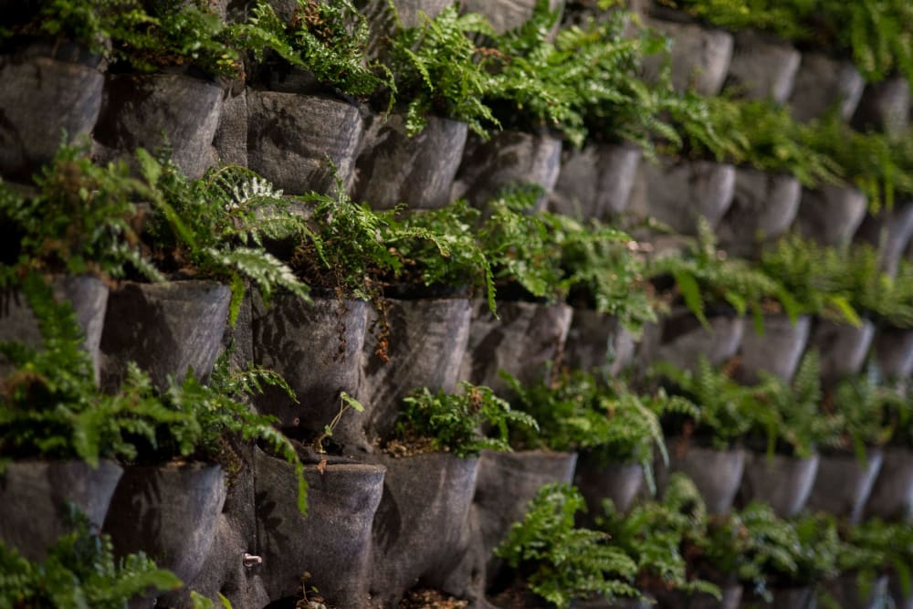 Plant walls throughout common areas at Brooklyn Yard in Portland, Oregon