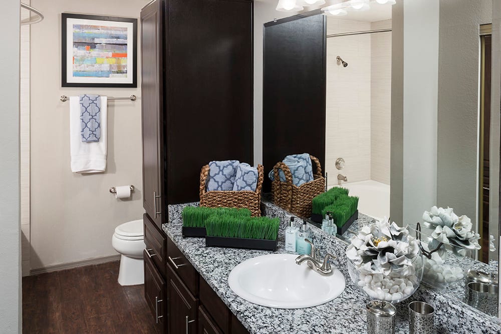 Granite countertop and extra storage in a model home's primary bathroom at Hyde Park at Montfort in Dallas, Texas