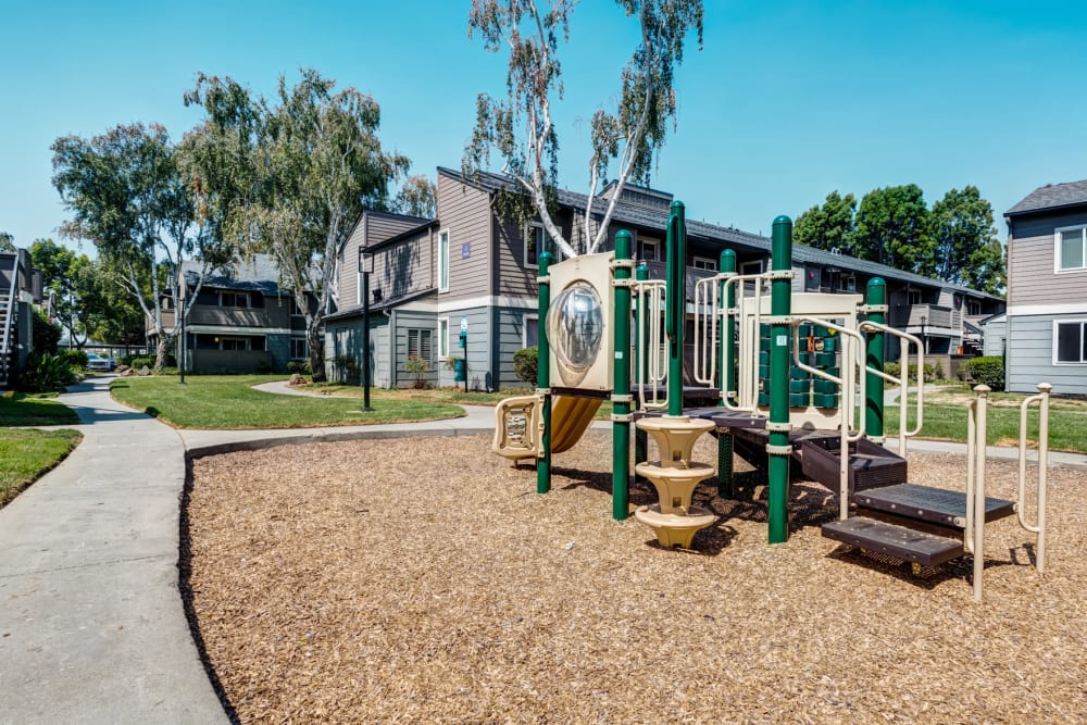 Playground equipment at Sofi Union City in Union City, California