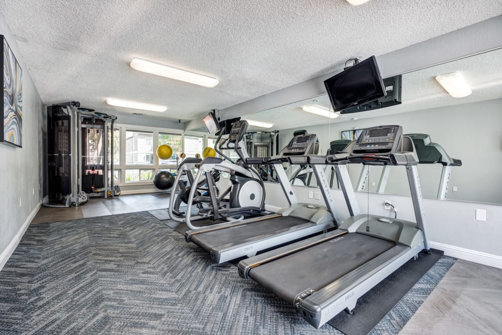 Cardio machines in the fitness center at Sofi Union City in Union City, California