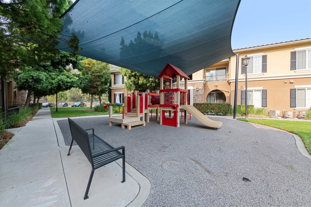 Playground equipment at Sofi Shadowridge in Vista, California