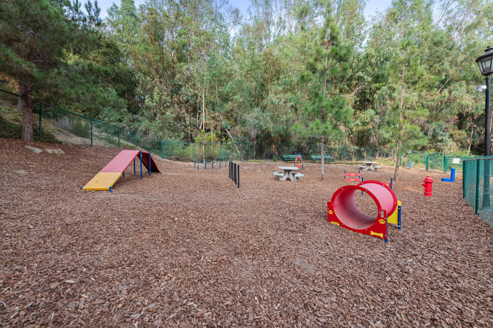 On-site dog park at Sofi Shadowridge in Vista, California