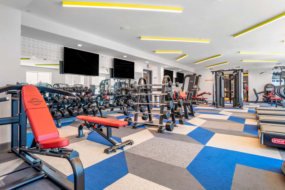 Well equipped fitness center at UNCOMMON Tuscaloosa in Tuscaloosa, Alabama