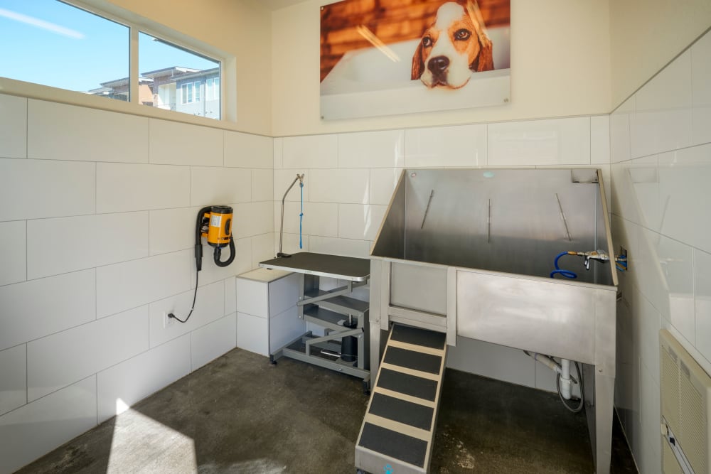 Dog Wash Room