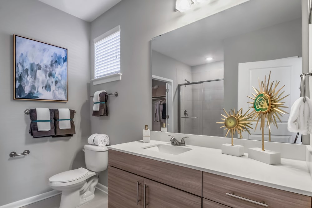 Luxurious bathroom in a model home at The Palmer in Charlotte, North Carolina