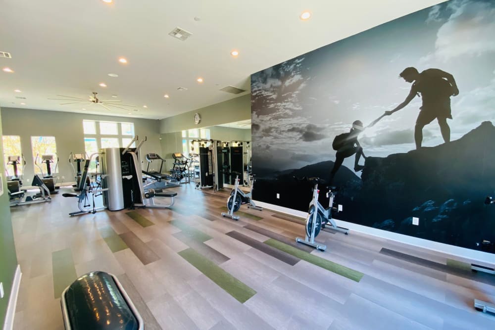 Newly renovated fitness center with fitness on demand area
