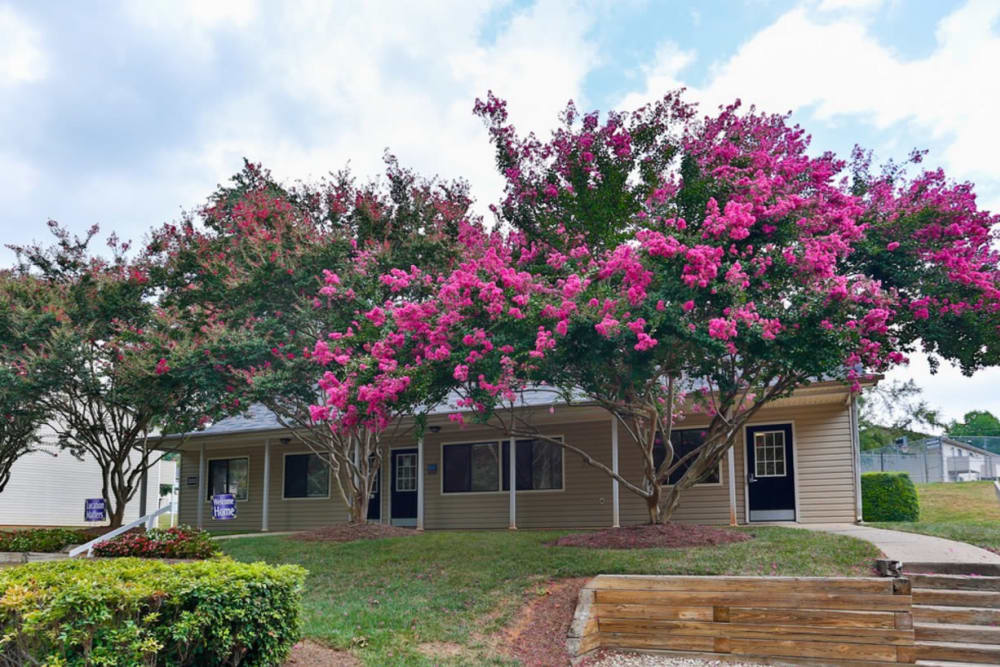 Clubhouse surrounded by beautiful blossoming trees at Huntersville Apartment Homes in Huntersville, North Carolina