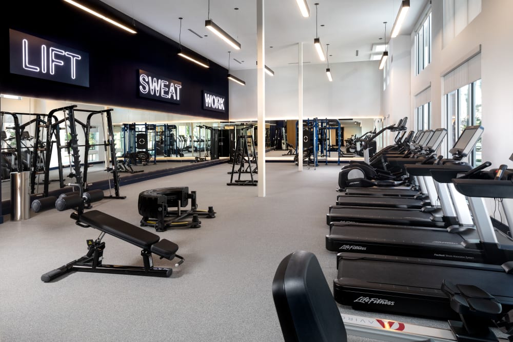 Fitness center at Olympus on Broadway in Carrollton, TX