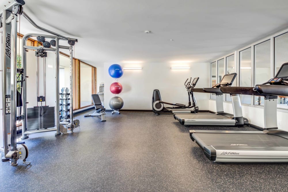 Exercise equipment at Skyline Terrace Apartments in Burlingame, California