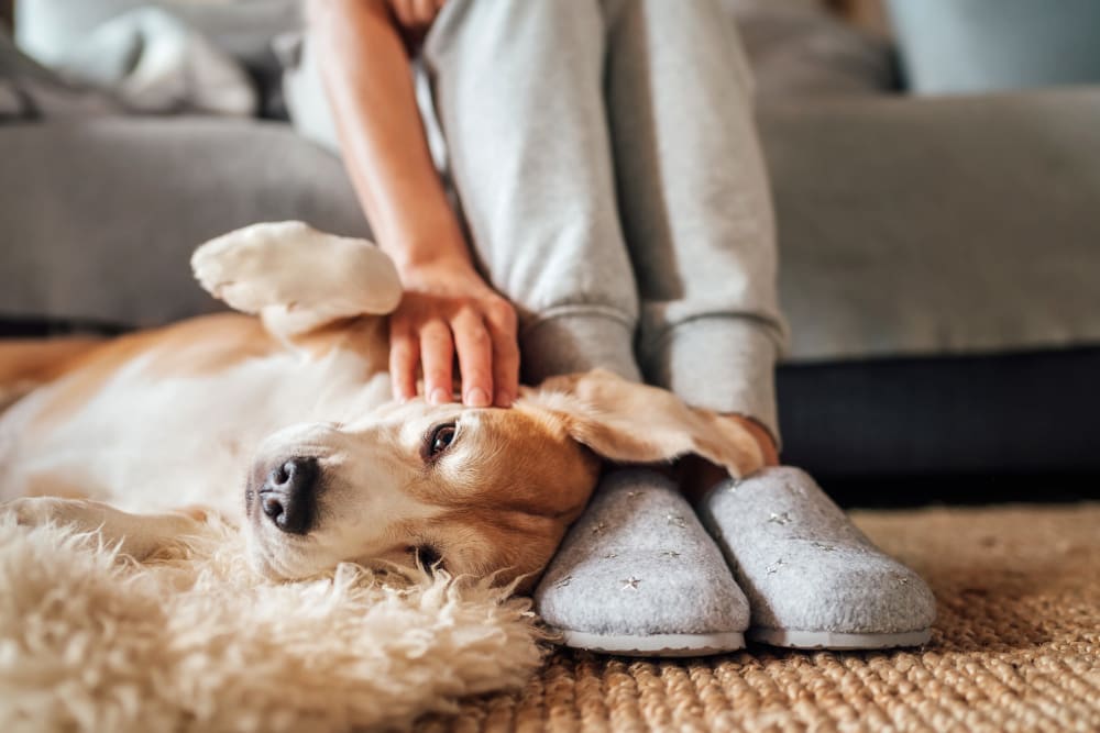 Residents loving on her pup at Alvadora Apartments in Lawrence, Kansas