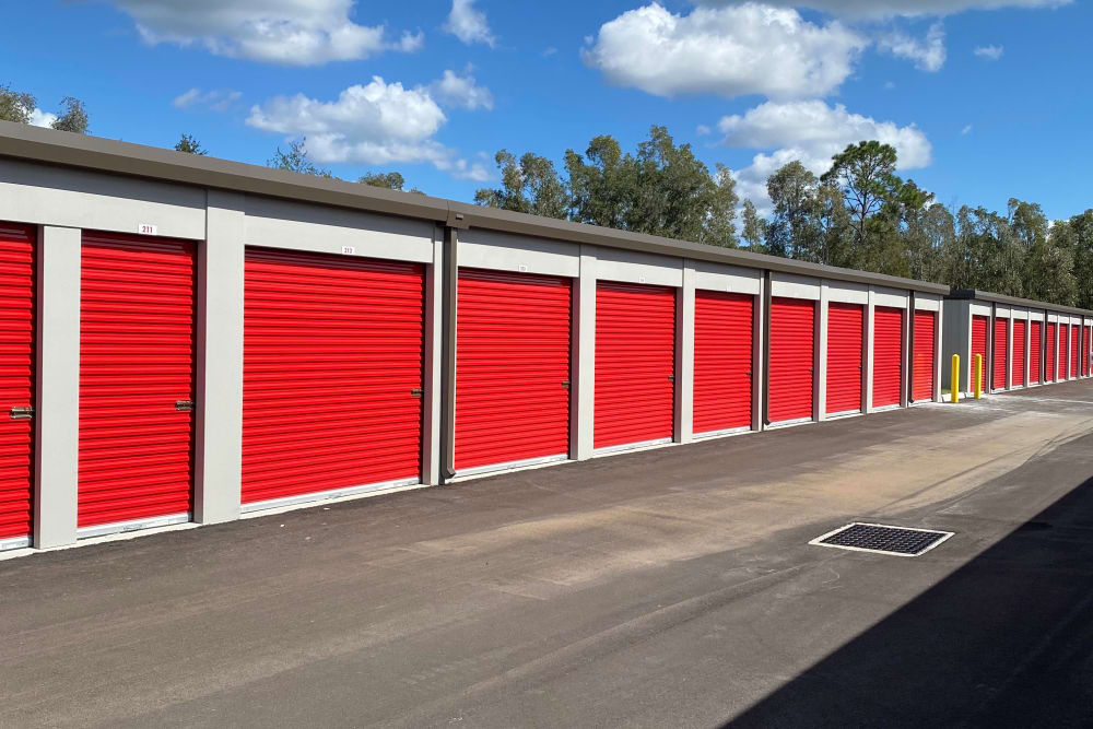 Storage Land O Lakes Fl