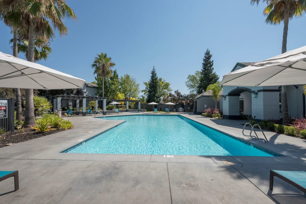 A hot tub surrounded by lush landscaping at Avion Apartments in Rancho Cordova, California