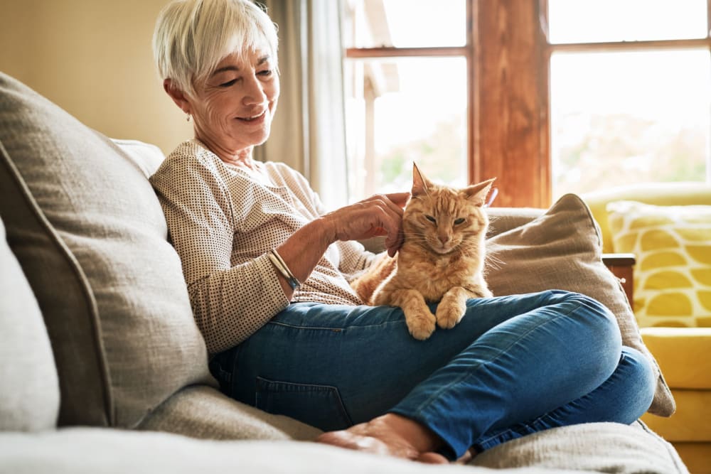 Resident sitting on her couch and petting her cat at Campus Commons Senior Living in Sacramento, California