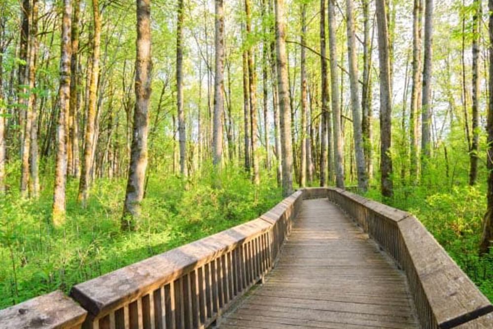 A walking path near Waterview Court in Shreveport, Louisiana
