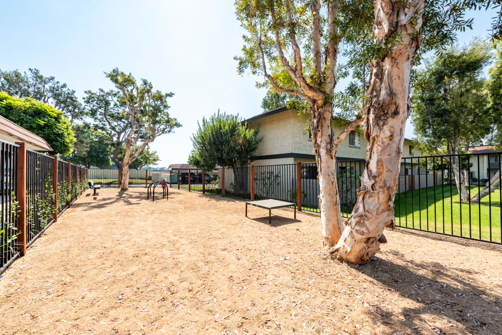 Onsite dog park at Sofi Ventura in Ventura, California