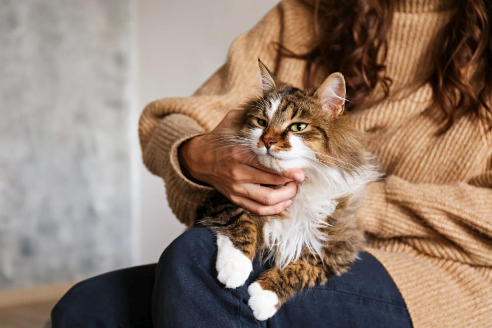 Resident petting her cat at 17th Street Lofts in Atlanta, Georgia