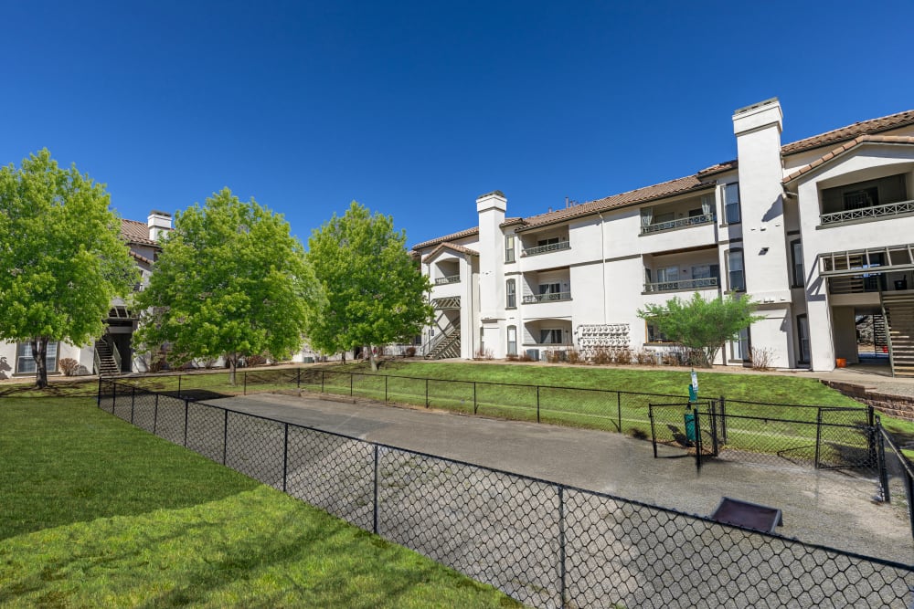 The dog park for your furry friend at Altitude Westminster in Westminster, Colorado