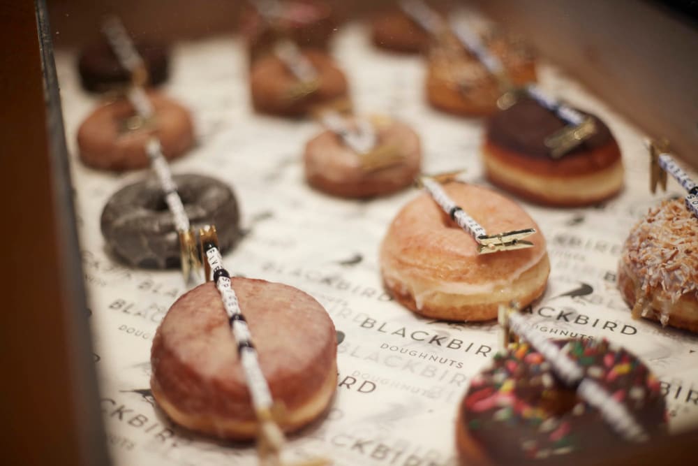 Delicious donuts in Allston, Massachusetts near Arthaus Apartments