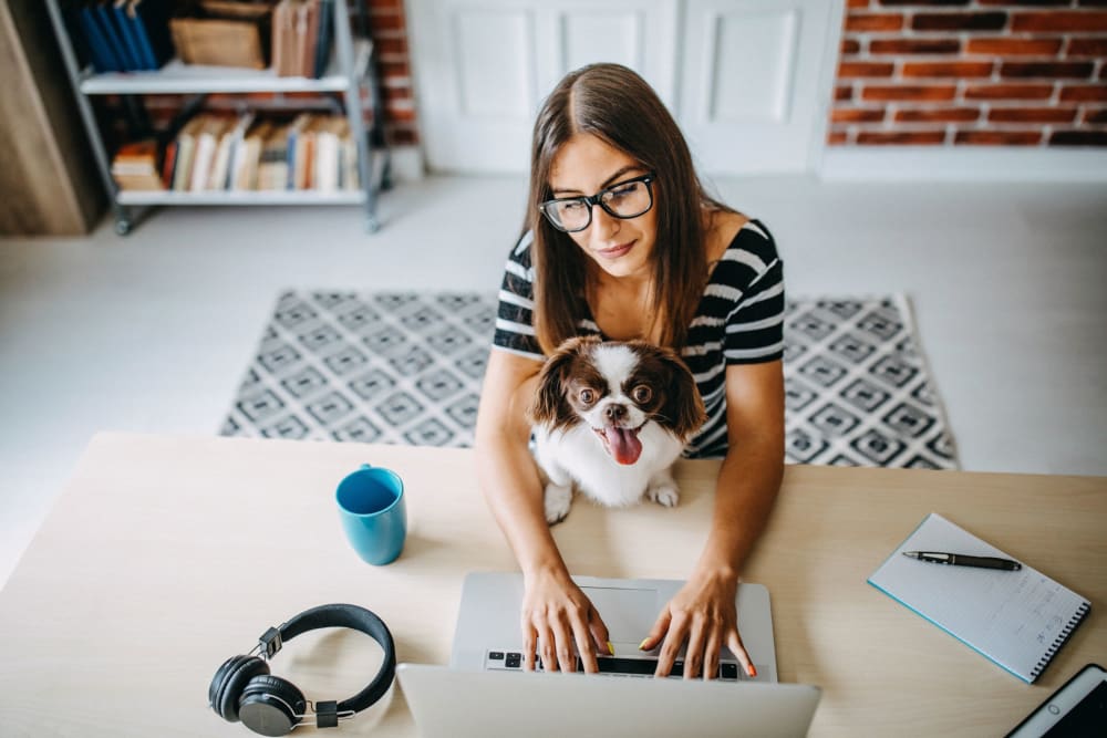 Resident working on her laptop with her dog at Optimist Lofts in Atlanta, Georgia