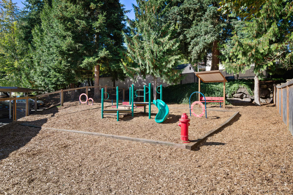 Playground surrounded by beautiful green grass and resident buildings at Sofi Lakeside in Everett, Washington
