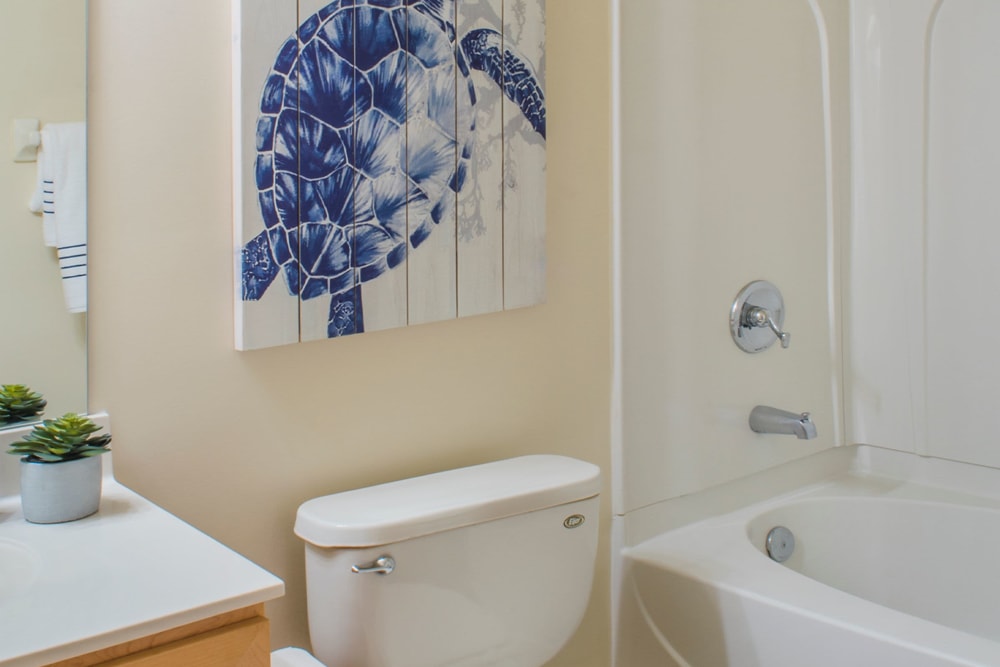 Bathroom with turtle painting behind toilet at Atkins Circle Apartments & Townhomes in Charlotte, North Carolina