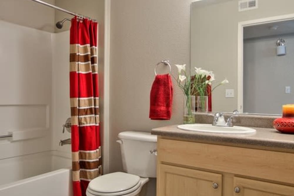 Bathroom at Cielo Apartment Homes in Henderson, Nevada