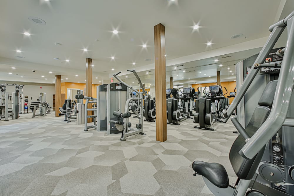 Ellipticals at the Gym at Broadstone Toscano in Houston, Texas