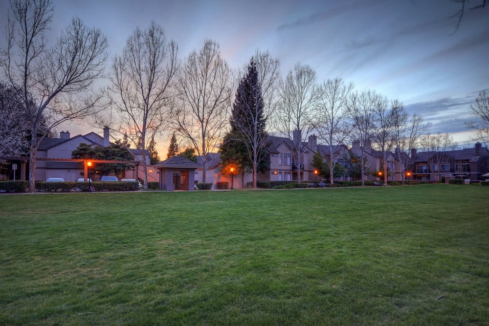 Street veiw of Larkspur Woods in Sacramento, California