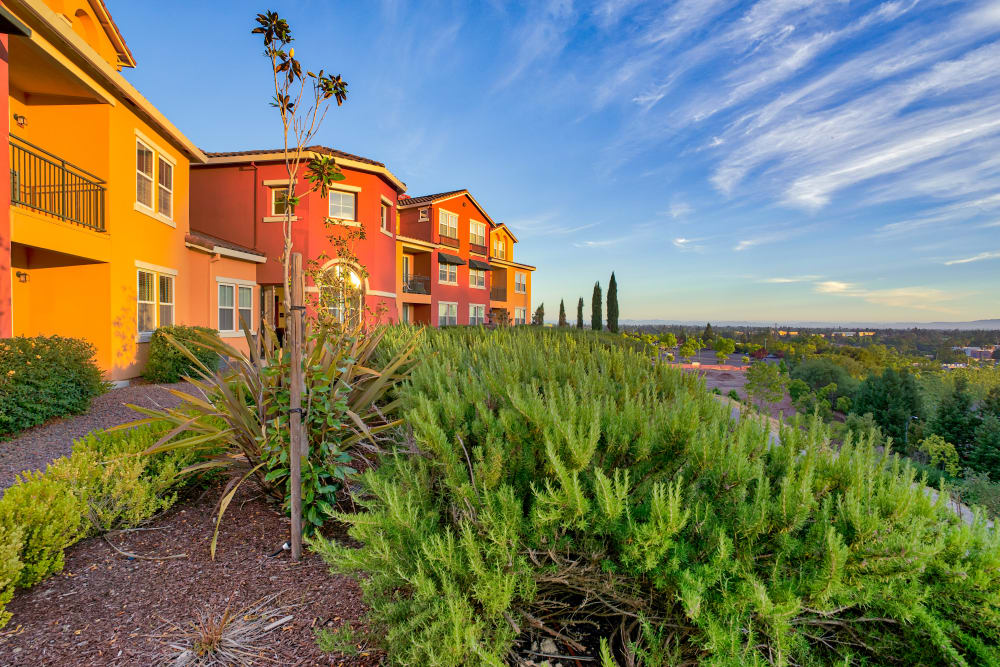 photos of the overlook at fountaingrove in santa rosa ca