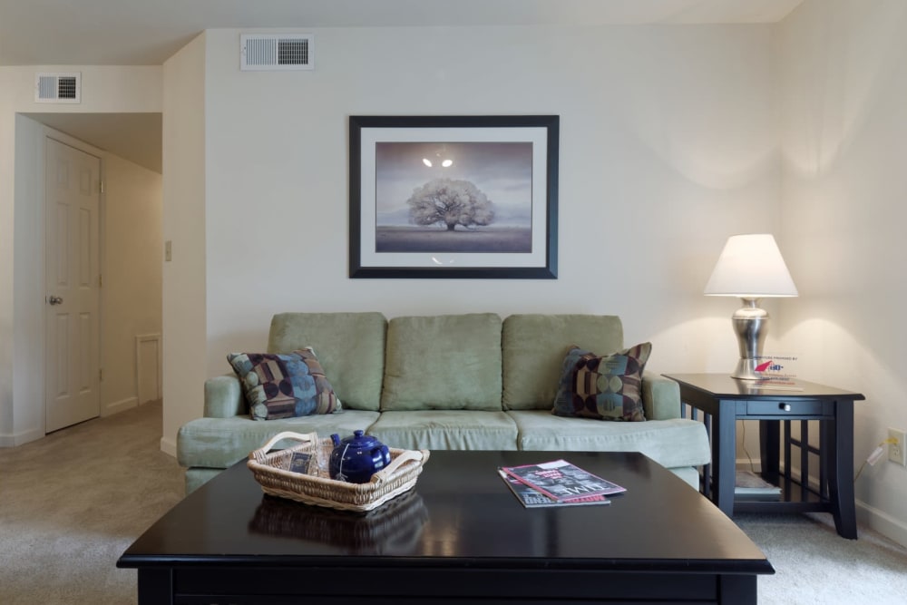Comfortable couch at The Meadows at Elk Creek in Elkton, Maryland