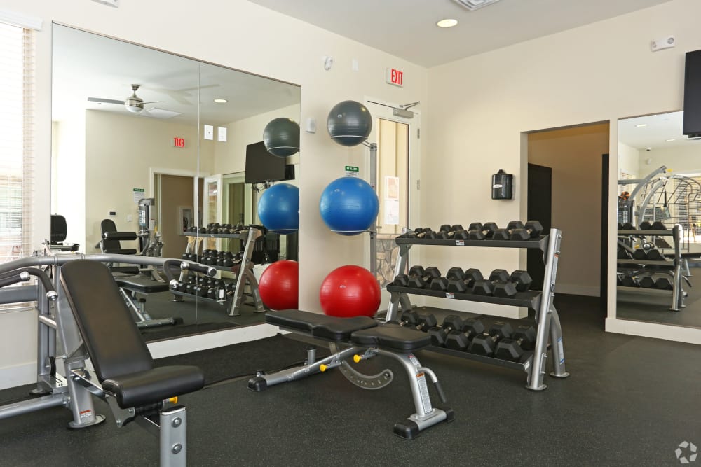 Large resident fitness room at Mountain Trail in Flagstaff, Arizona