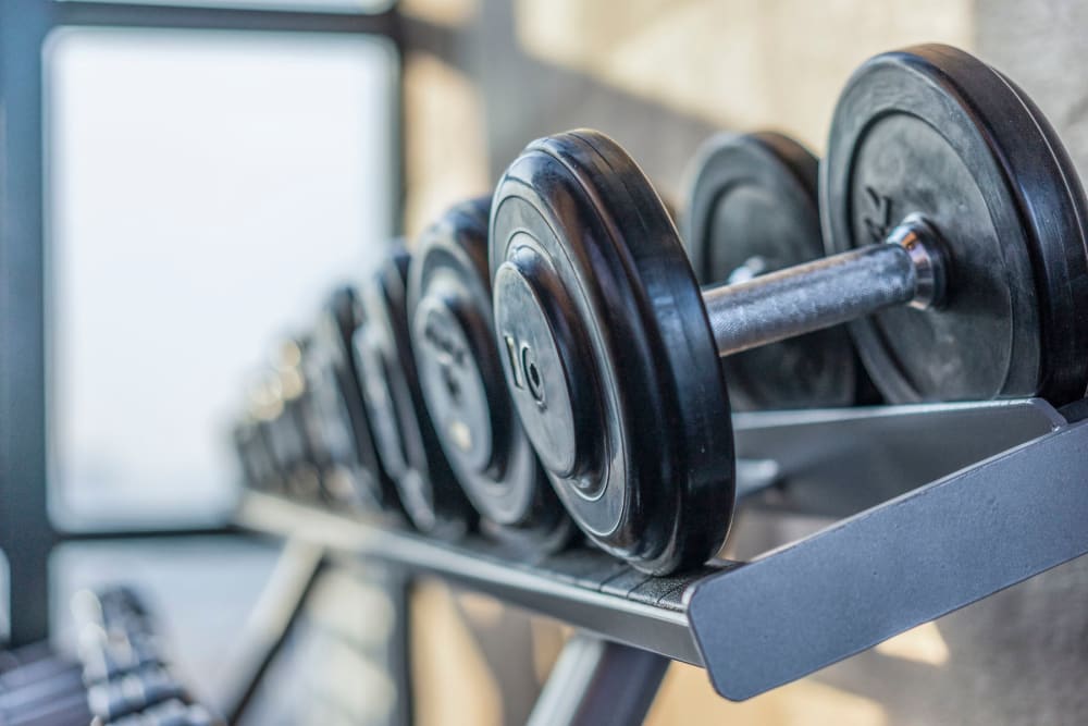 Weights in the fitness center at Park at Winterset Apartments in Owings Mills, Maryland