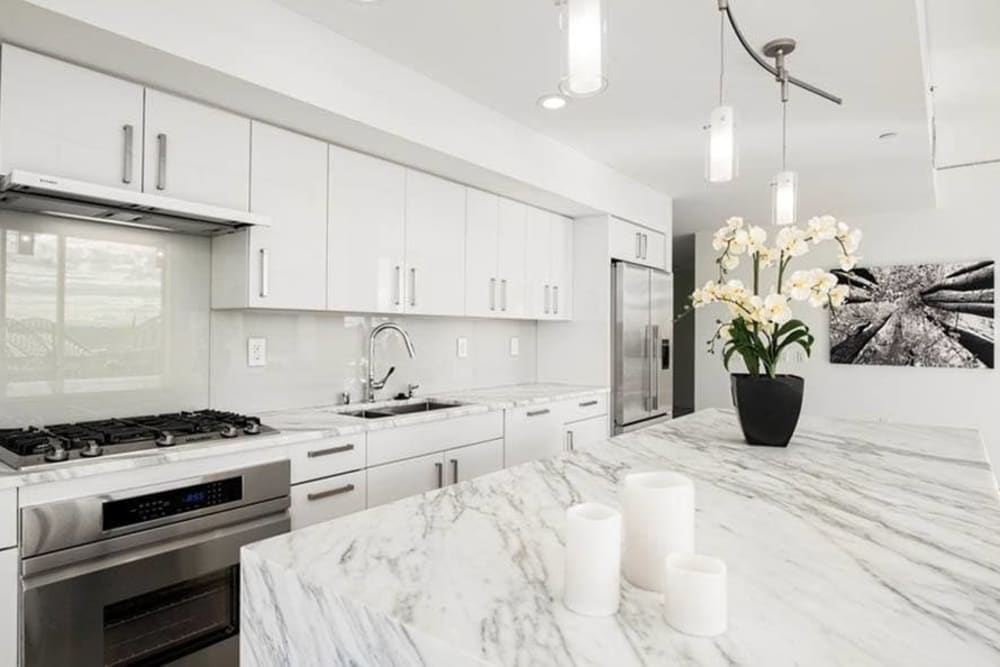 Kitchen with granite counters at The Wave in Seattle, Washington