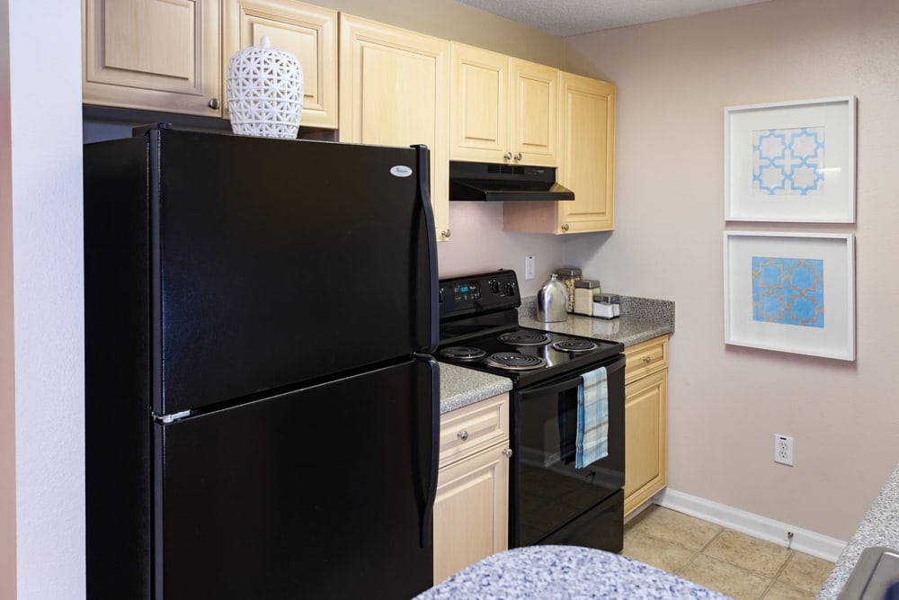 Sleek black appliances in a model home's kitchen at The Vinings at Newnan Lakes in Newnan, Georgia