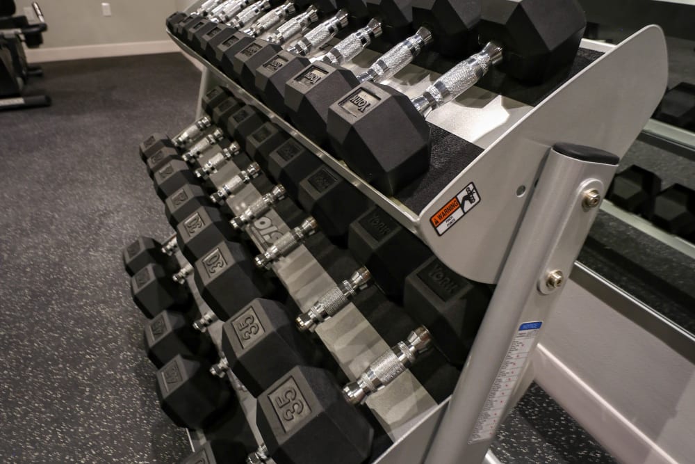 Free weights in the community fitness center at Creekview Court in Getzville, New York