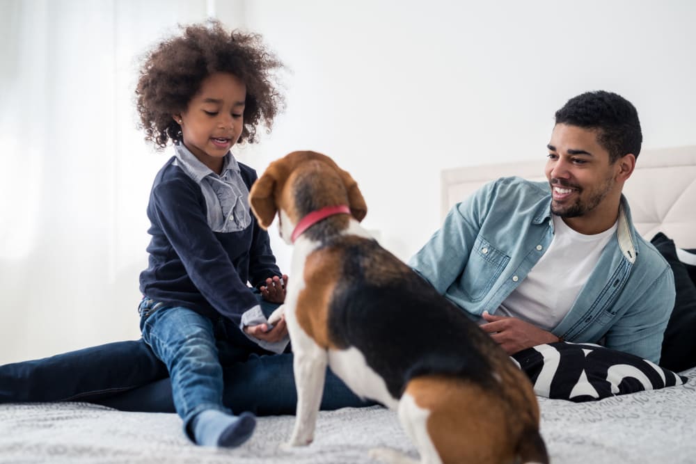 Father and son playing with their beagle in a pet-friendly home at Ocean Terrace Apartment Homes in Long Branch, New Jersey