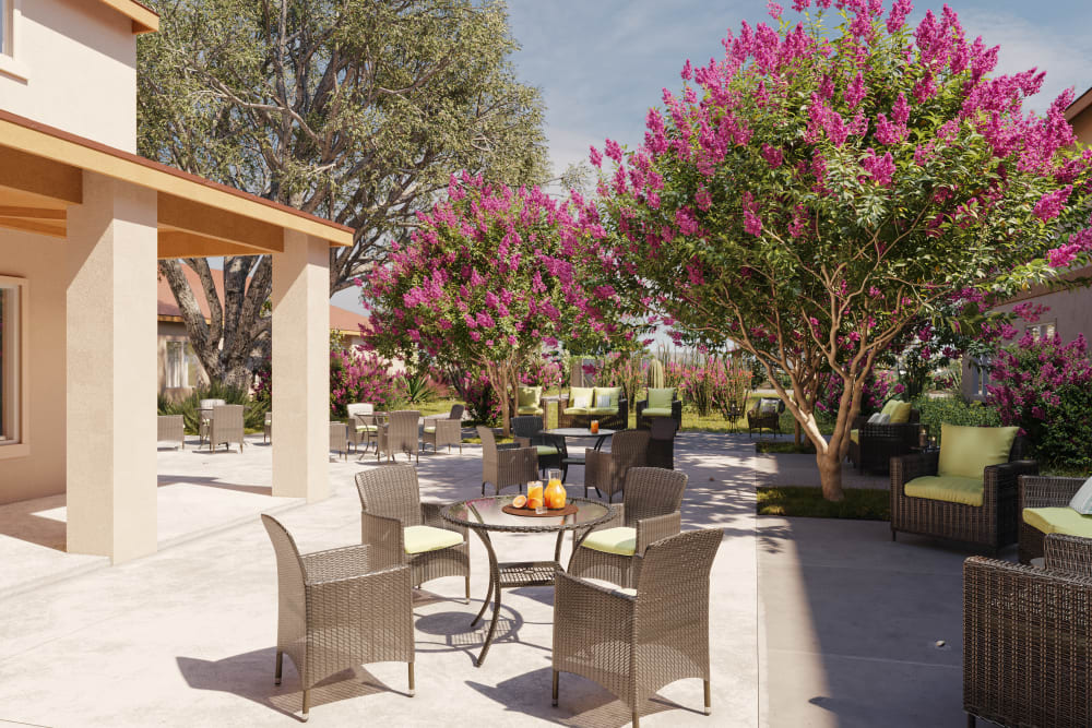 Photos of Ativo Senior Living of Yuma in Yuma, AZ