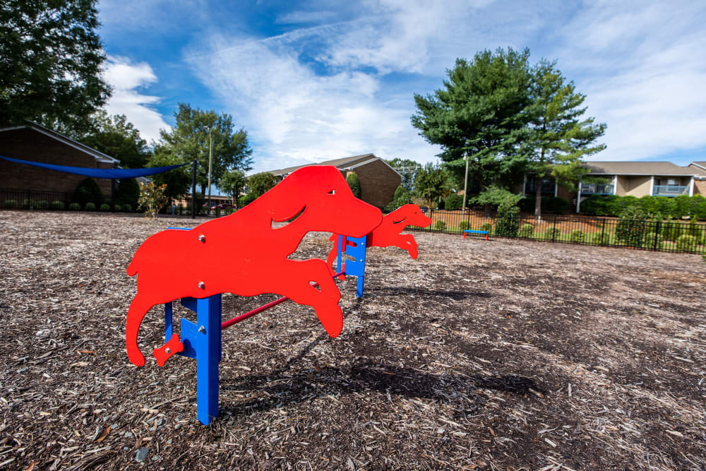 A bark park for your furry friends at Mill Creek Flats in Winston Salem, North Carolina
