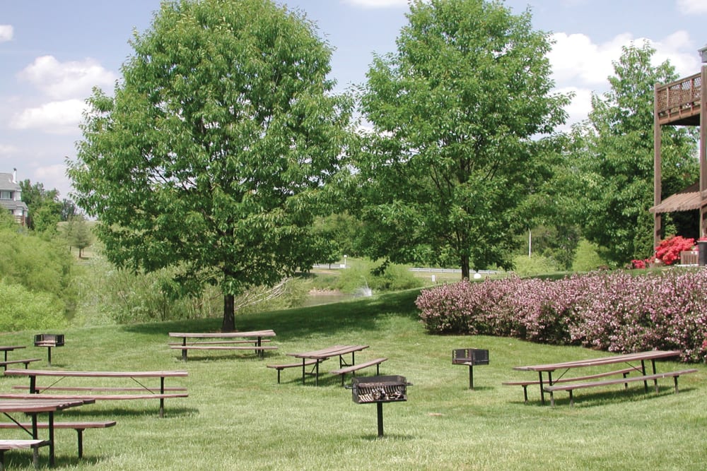 Picnic tables and bbq area at Tamarron Apartment Homes in Olney, Maryland