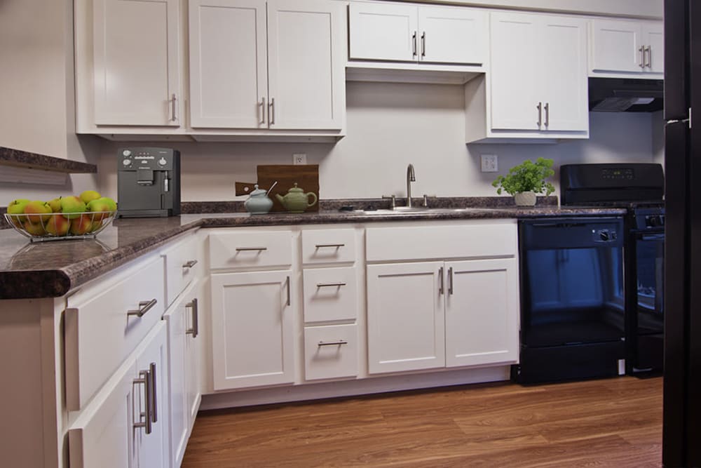 Kitchen at Nineteen North Apartments in Pittsburgh, Pennsylvania