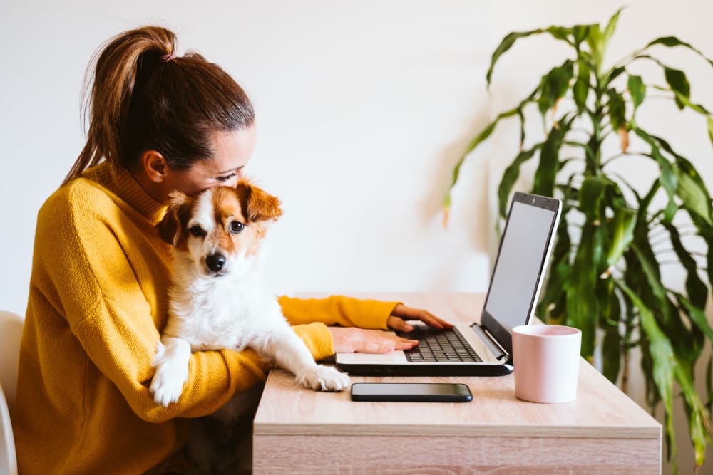 Woman with her dog working on a computer at Uplund in Kirkland, Washington