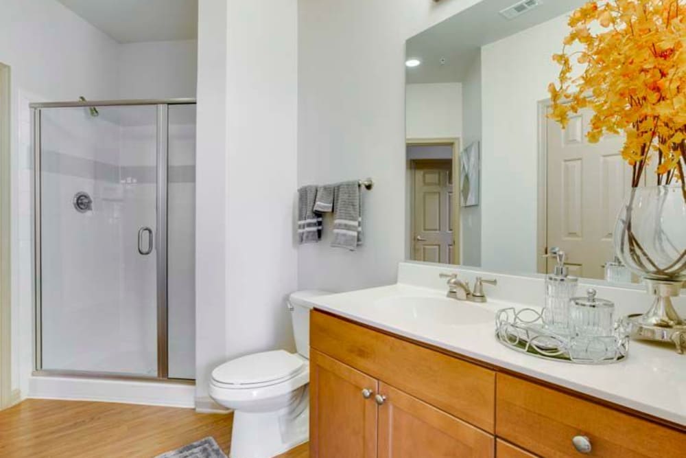 Spacious bathroom with large mirrors and shower at Summerfield at Morgan Metro in Landover, Maryland