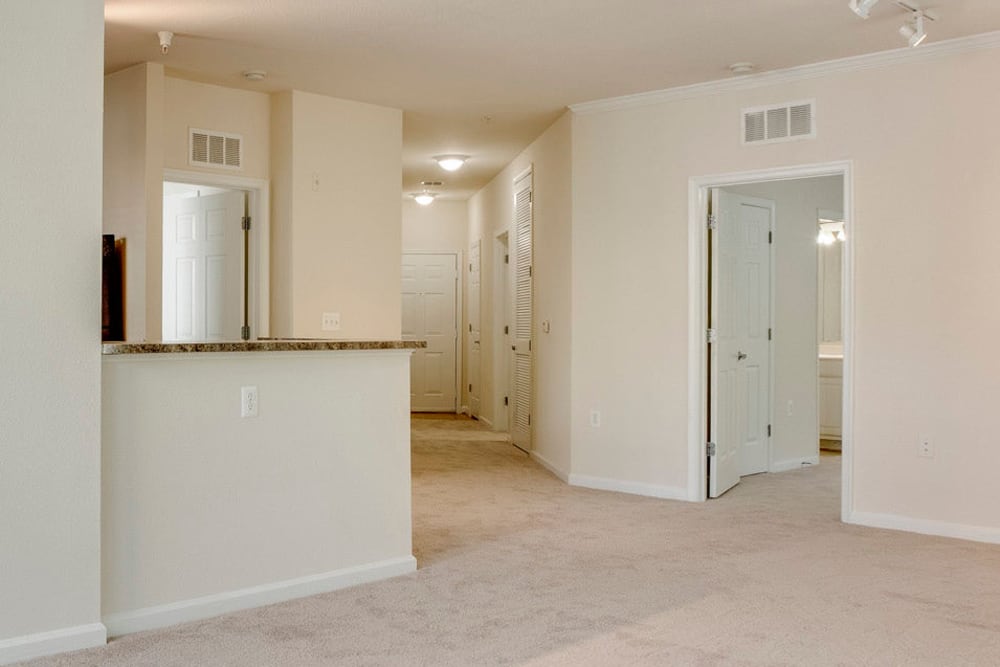 Empty living area with tons of light and carpeted floor at Summerfield at Morgan Metro in Landover, Maryland