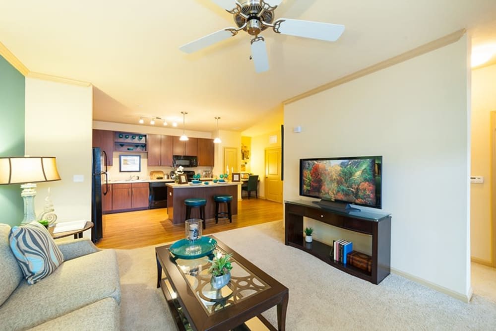 Well decorated apartment at Hills Parc in Ooltewah, Tennessee
