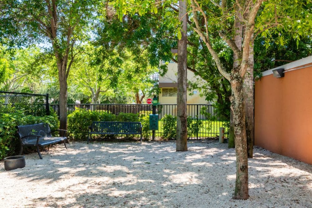 Dog park area for residents to take their pups at The Pearl in Ft Lauderdale, Florida