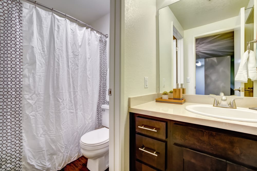 Brown Cabinetry Bathroom at Serramonte Ridge Apartment Homes in Daly City, California