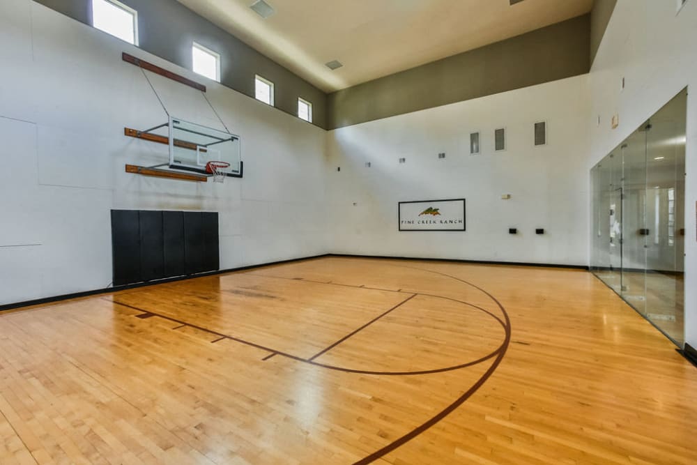 Indoor basketball court at Stone Creek at The Woodlands in The Woodlands, Texas