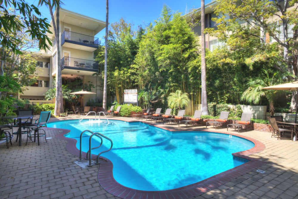 Resort-style swimming pool on a beautiful day at Sunset Barrington Gardens in Los Angeles, California